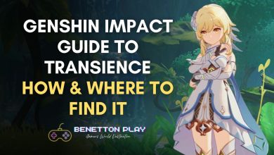 Genshin Impact Guide To Transience