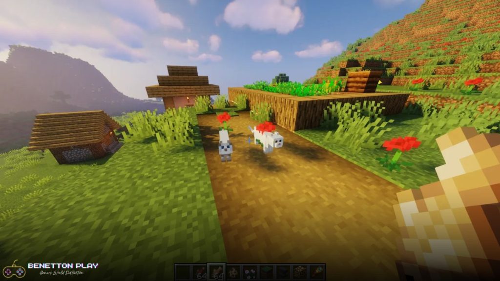 Where To Find Cats In Minecraft