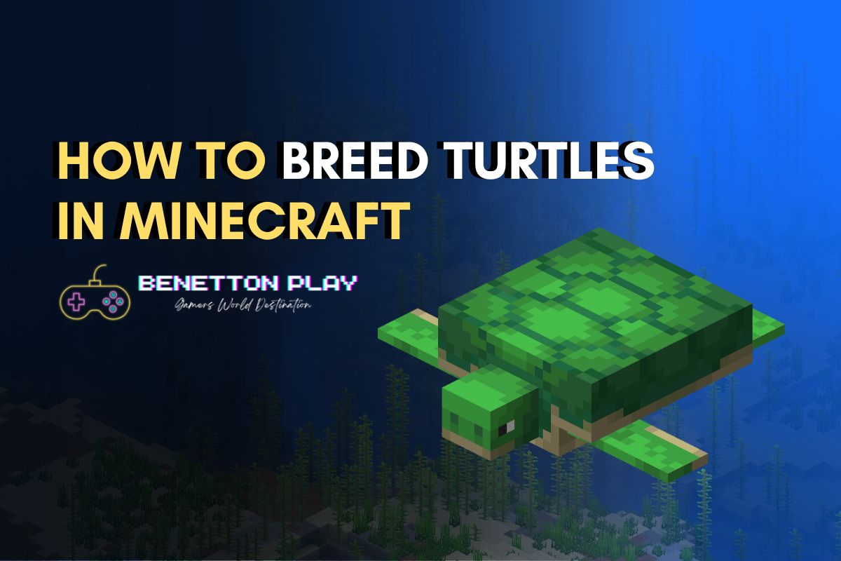 How To Breed Turtles In Minecraft