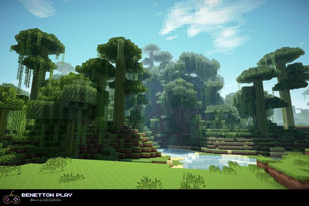 Minecraft Jungle