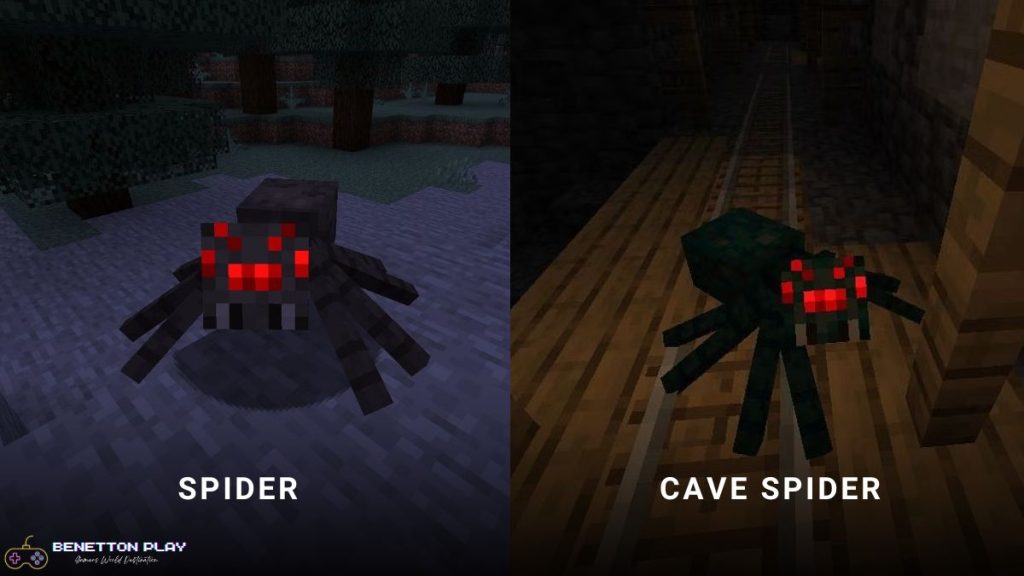 Spiders & Cave Spiders