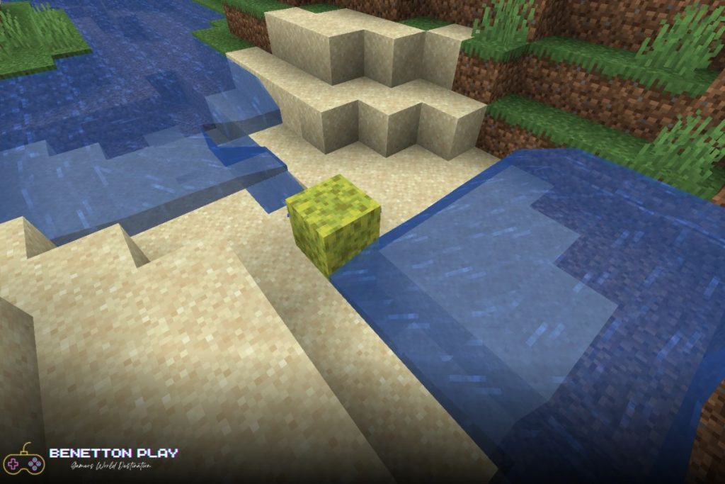 What is sponge in Minecraft