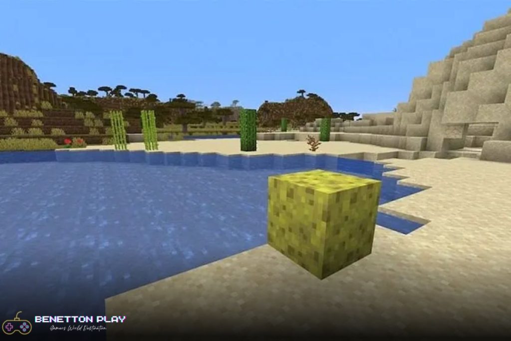 How to Use Sponge in Minecraft