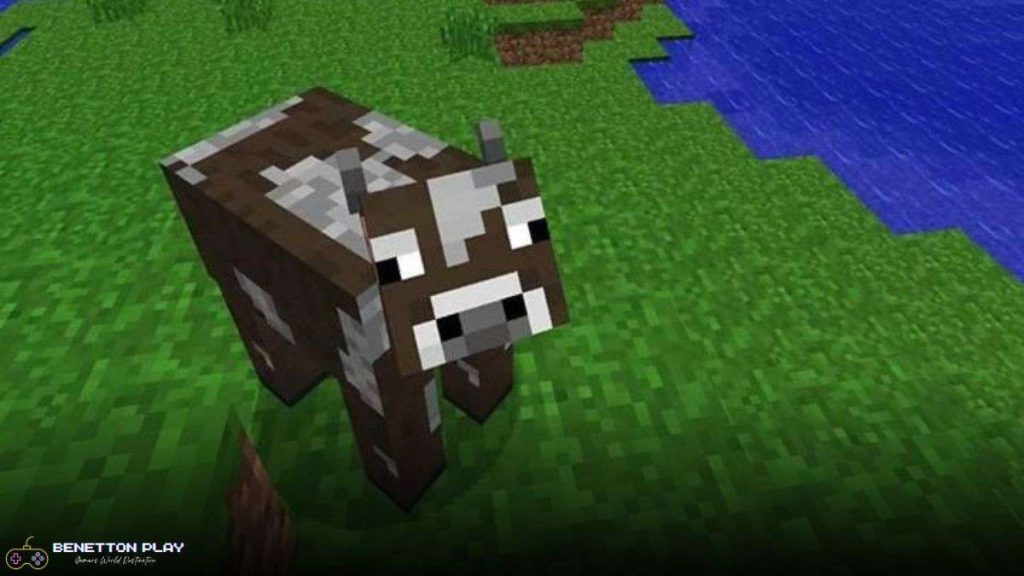 Where To Get Minecraft Leather
